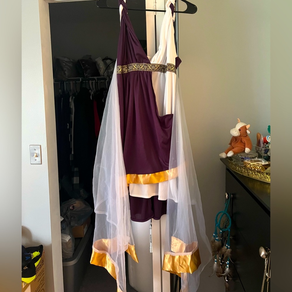 Greek Goddess costume